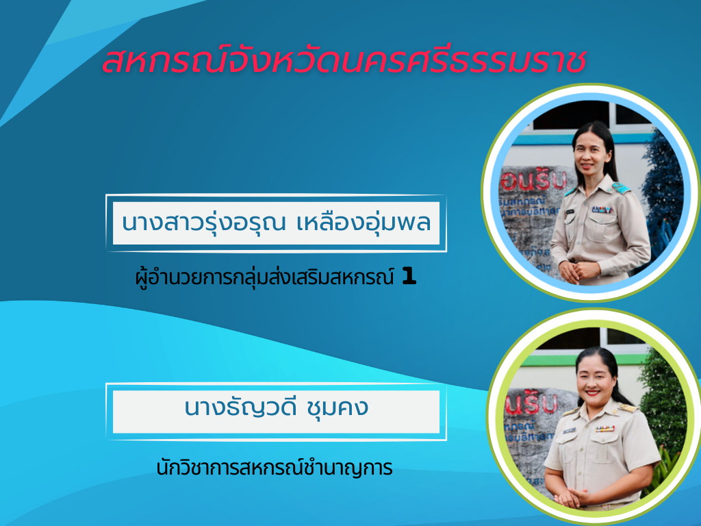 คู่มือเว็บแอพ